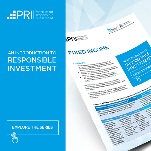 Read more about the article An Introduction to RI: Fixed Income