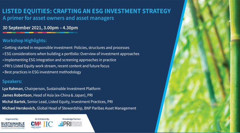 Read more about the article Listed Equities – Crafting an ESG Investment Strategy