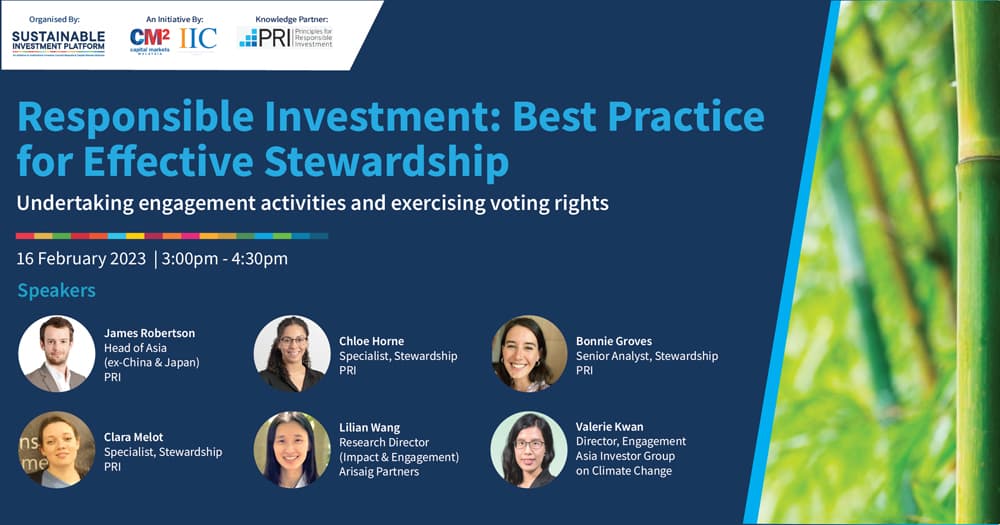 You are currently viewing Responsible Investment: Best Practice for Effective Stewardship